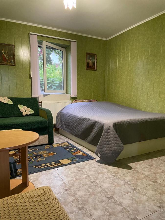 ホテル Constancia カームヤネツィ・ポジーリシクィイ エクステリア 写真